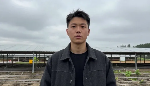 短视频运营中数据收集对结果的影响原因